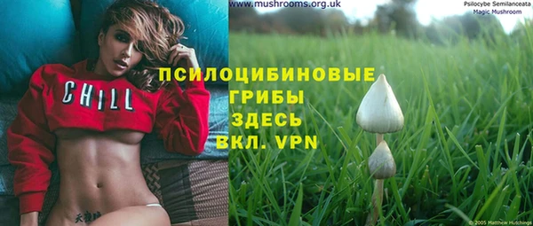 гашиш Алексин