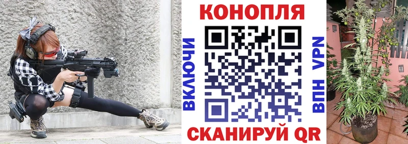 Бошки Шишки Amnesia Покров